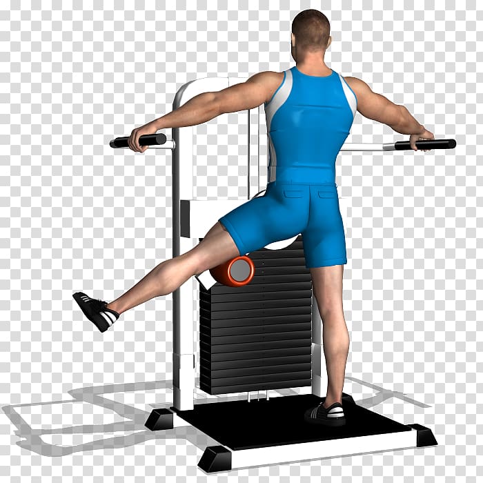 Shoulder Physical fitness Gluteal muscles Exercise Leg raise, Exercise Machine transparent background PNG clipart