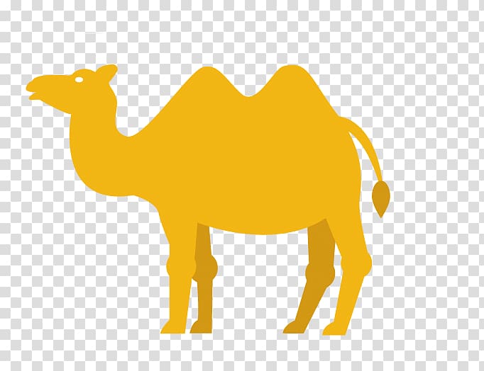 Dromedary Youssoufia Berrechid Logo, Camel-painted material transparent background PNG clipart