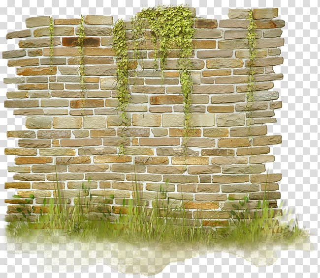 grass wall transparent background PNG clipart