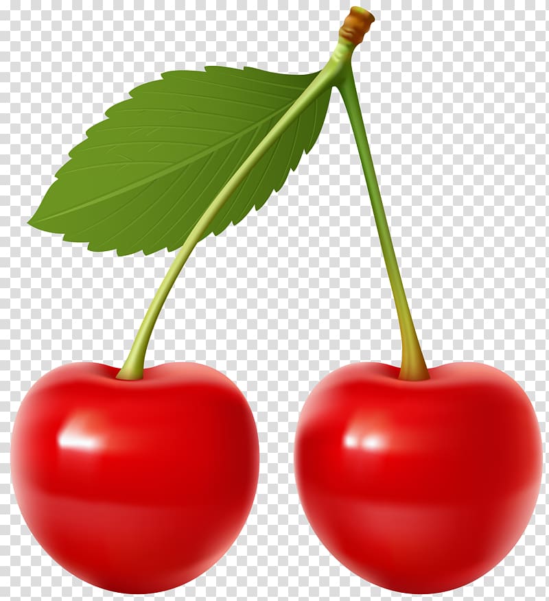 cherry fruit illustration, Cherry pie Fruit , Cherries transparent background PNG clipart