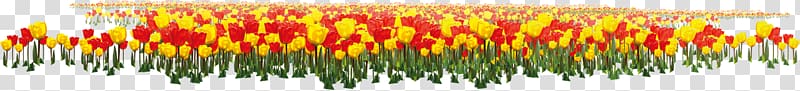 Anniversary of the Founding of the Communist Party of China u4e2du56fdu5171u4ea7u515au515au65d7u515au5fbd Flower, tulip transparent background PNG clipart