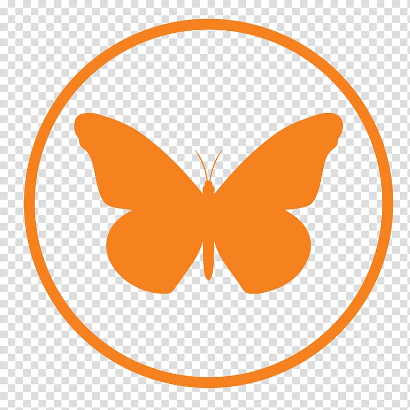 Butterfly Insect graphics Symbol , butterfly transparent background PNG clipart