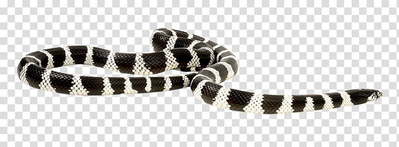 Snake , Snake transparent background PNG clipart