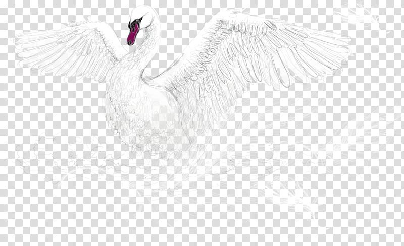 Water bird Goose White Cygnini, White Swan transparent background PNG clipart