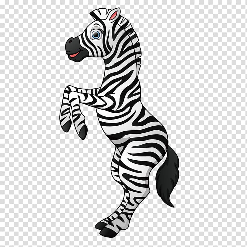 Z for Zebra Illustration, Cute zebra transparent background PNG clipart