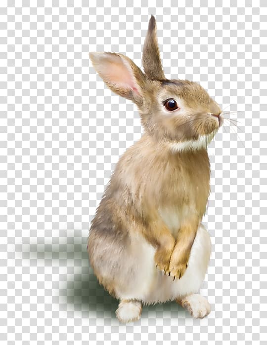 brown rabbit illustration, Rabbit Raster graphics RGB color model, A rabbit transparent background PNG clipart