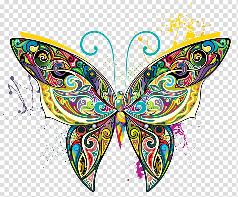 multicolored butterfly illustration, Butterfly Art Illustration, Colorful butterfly transparent background PNG clipart