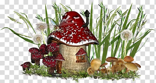 Fungus , others transparent background PNG clipart