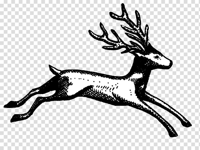 Reindeer Epping, Essex Town council Councillor, Reindeer transparent background PNG clipart