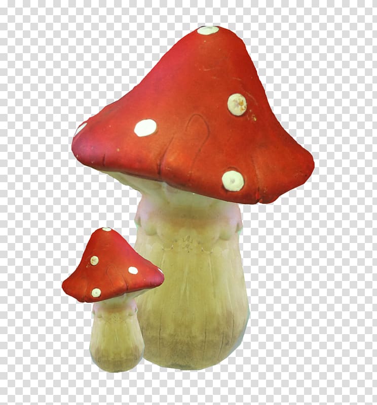 Drawing Fungus Mushroom Amanita muscaria, mushroom transparent background PNG clipart