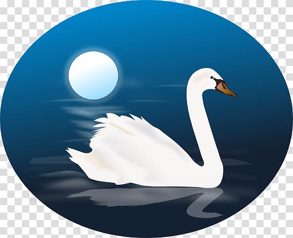 Bird Black swan Cygnus , Swan transparent background PNG clipart