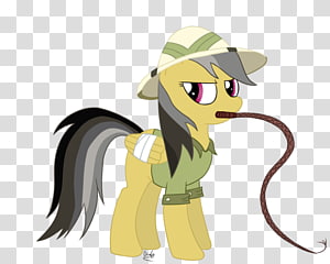 Pony Horse Carnivora , horse transparent background PNG clipart thumbnail