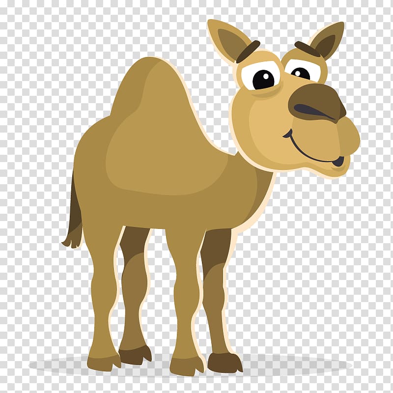 Bactrian camel Cartoon , Unimodal camel transparent background PNG clipart