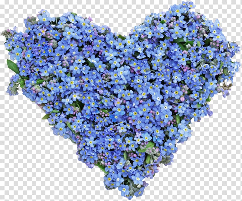 Flower Heart Blue, Blue Flower Heart transparent background PNG clipart