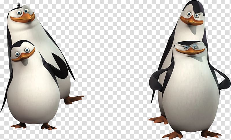 Madagascar penguins transparent background PNG clipart