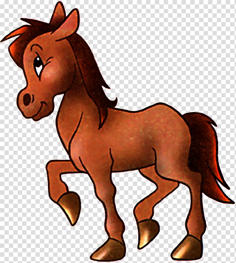 Konik Pony Child , Horses transparent background PNG clipart