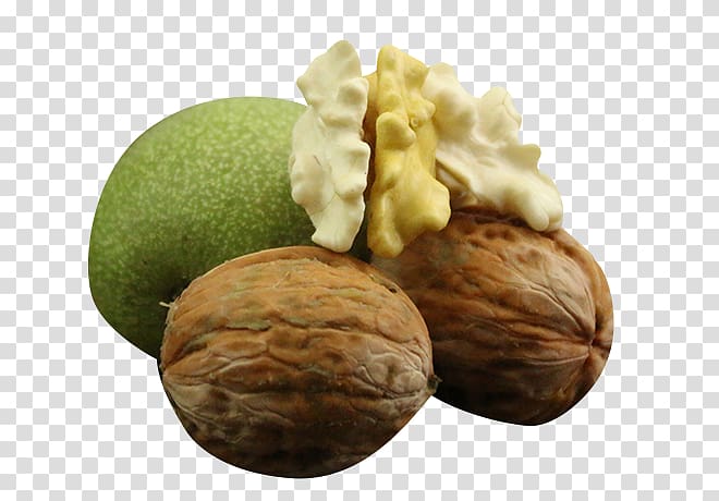 English walnut, Fresh walnut transparent background PNG clipart