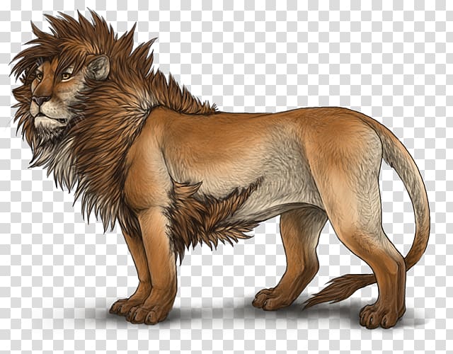 Lion Cat Felidae Roar Wildlife, lion transparent background PNG clipart