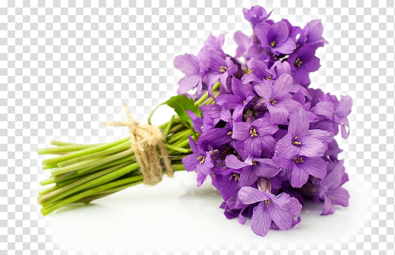 Flower bouquet English lavender Violet Cut flowers, violet transparent background PNG clipart