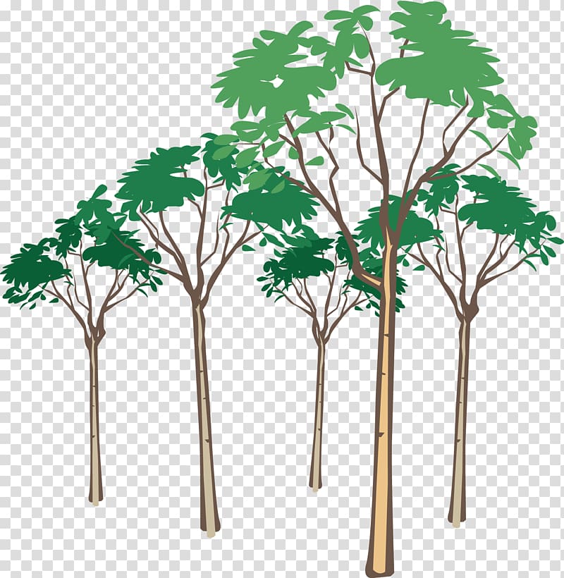 , Tree transparent background PNG clipart