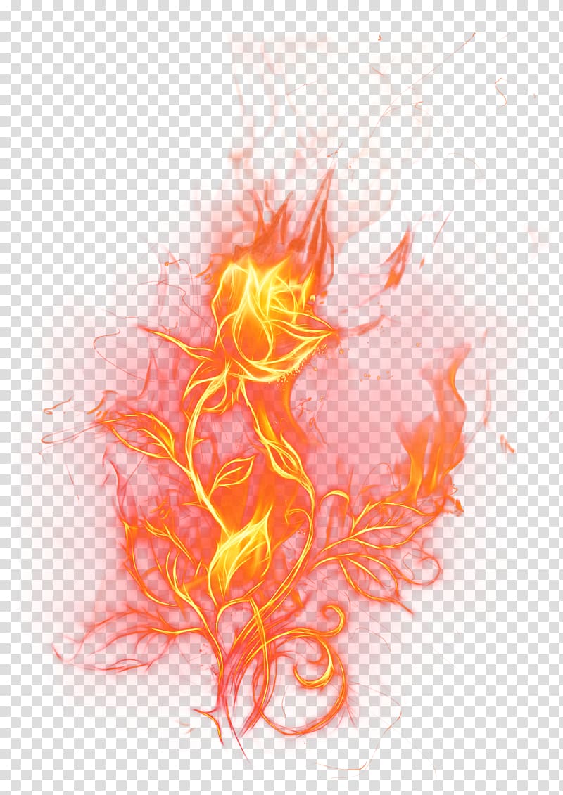 Fire , Fire Rose , fire illustration transparent background PNG clipart