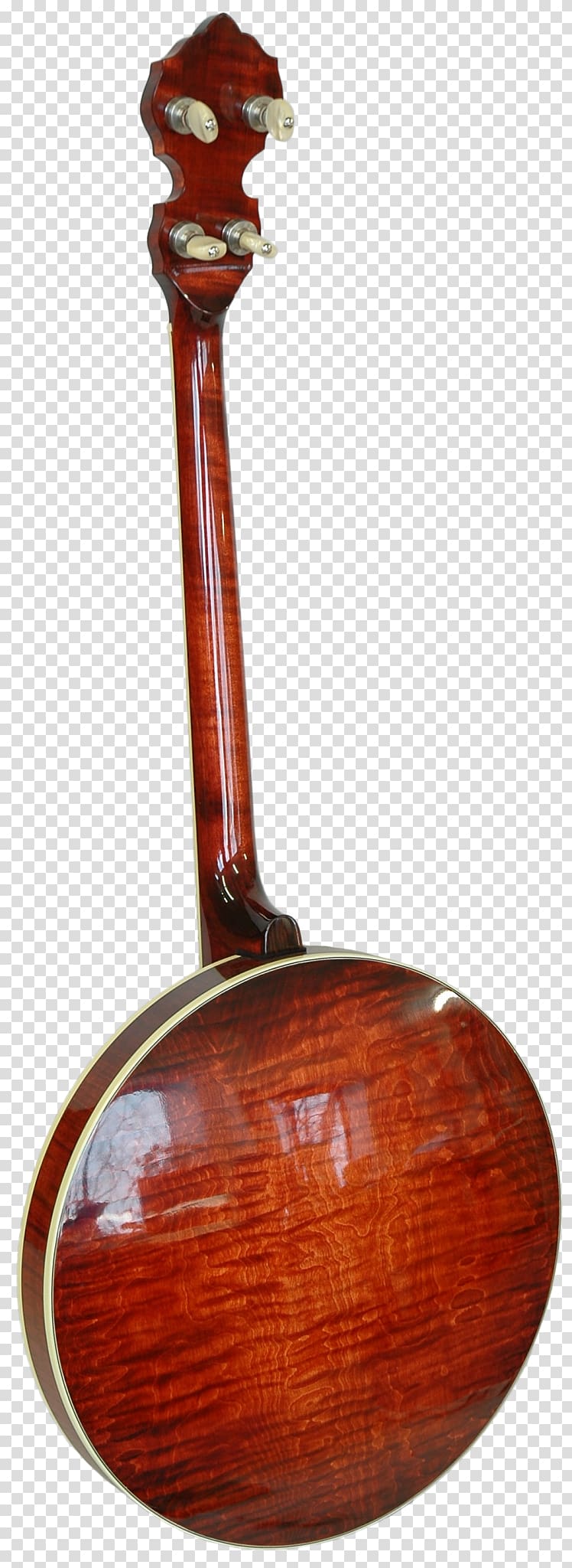 Plucked string instrument Musical Instruments String Instruments Music of India, musical instruments transparent background PNG clipart