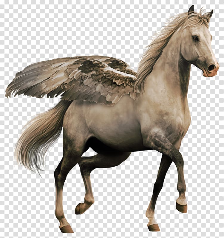 Horse , Pegasus winged transparent background PNG clipart