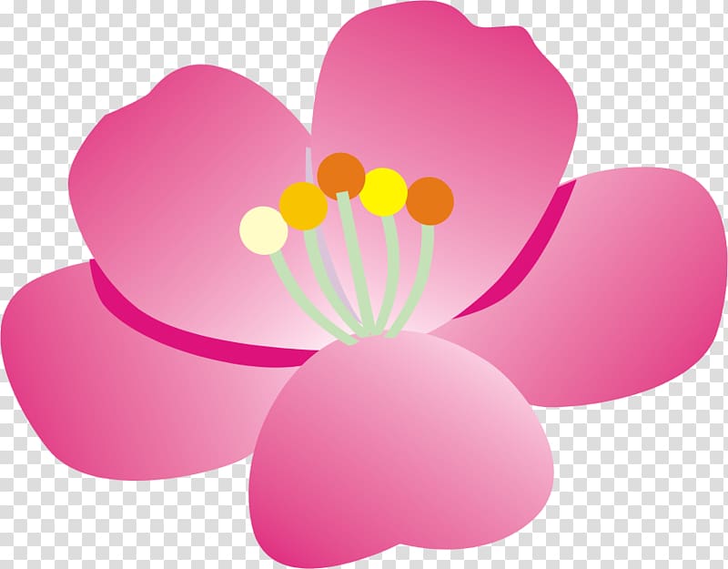 Windows thumbnail cache 0 Directory Computer Software, taiwan flower transparent background PNG clipart