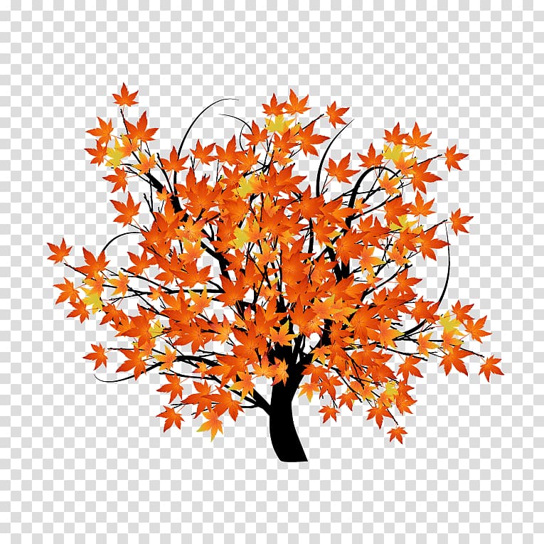 Autumn leaf color Tree Illustration, autumn maple leaf transparent background PNG clipart