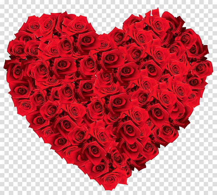 Rose Flower Valentines Day Heart, rose transparent background PNG ...