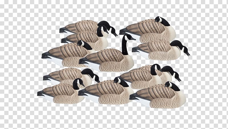 Goose Waterfowl hunting Decoy Final Approach 474165fa Last Pass Final Approach Last Pass HD, goose transparent background PNG clipart