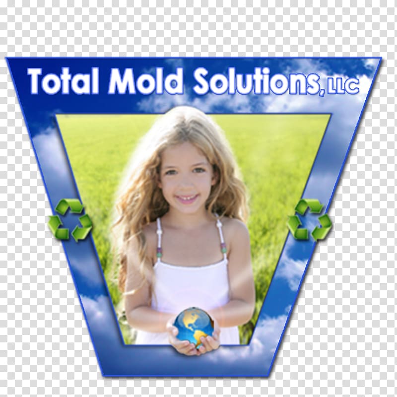 Total Mold Solutions, LLC. Indoor mold Indoor air quality Sinus infection, odor transparent background PNG clipart