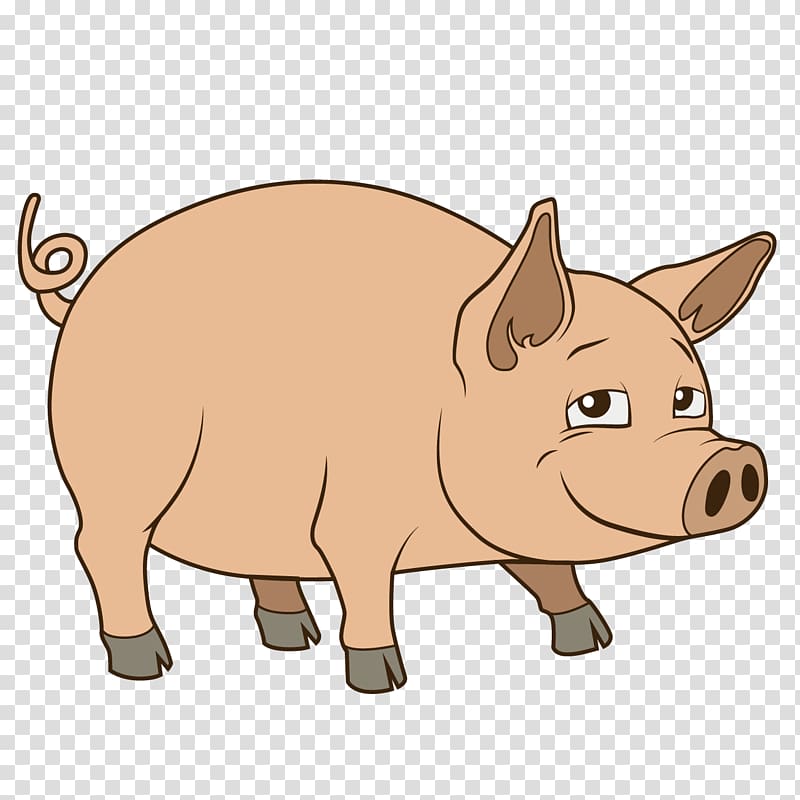 Pig Drawing Illustration, Cute pig transparent background PNG clipart