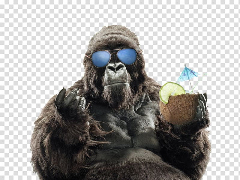 Western gorilla Primate Orangutan Sunglasses, Summer vacation FIG gorilla transparent background PNG clipart