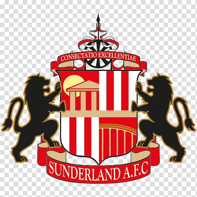 Stadium of Light Sunderland A.F.C. English Football League Newcastle United F.C. FA Cup, football transparent background PNG clipart
