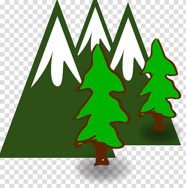 , evergreen transparent background PNG clipart