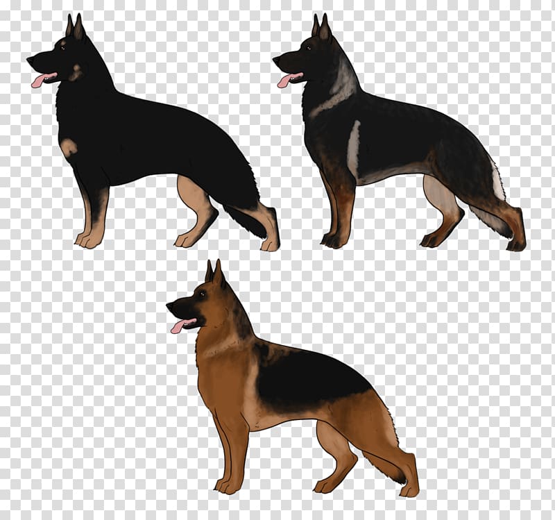 Ormskirk terrier German Shepherd Australian Kelpie Kunming wolfdog Australian Cattle Dog, Australia transparent background PNG clipart