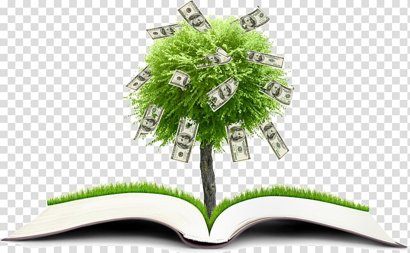 Financial literacy Personal finance Financial plan Education, open book transparent background PNG clipart