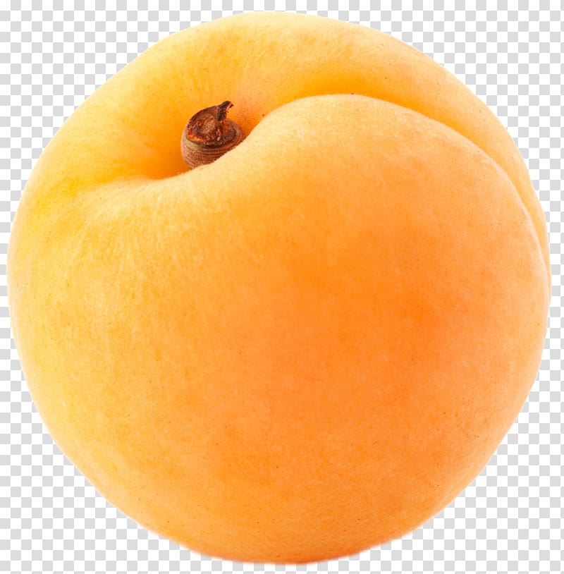 round orange fruit, Peach Orange Apricot Peel Apple, Large Apricot transparent background PNG clipart