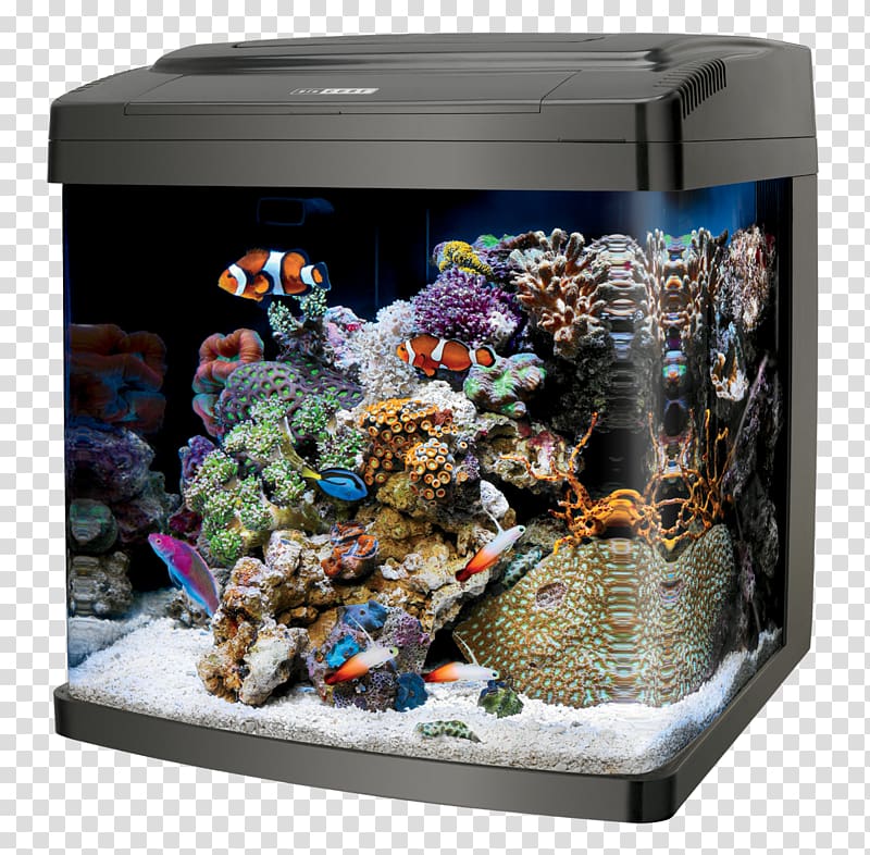 Coralife LED Bio Cube 32 Reef aquarium Coralife Biocube Size 14 Bio Cube Stand 29/32, aquarium hydroponics transparent background PNG clipart