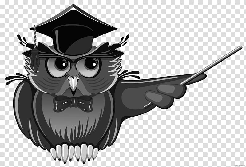 Owl Teacher Education School , owl transparent background PNG clipart
