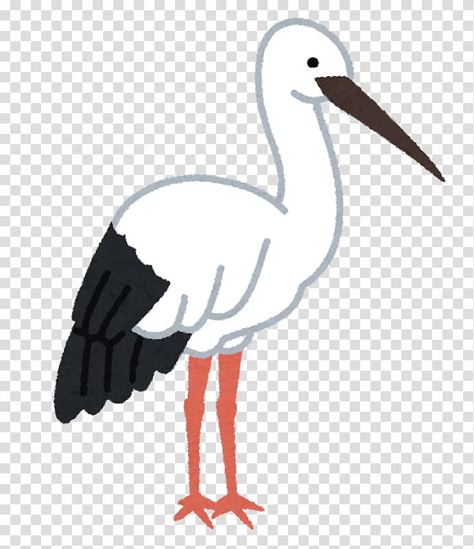 White stork Crane Bird Beak Oriental stork, crane transparent background PNG clipart
