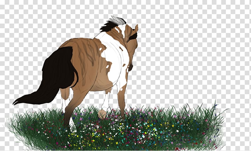 Cattle Mustang Goat Pasture Fauna, mustang transparent background PNG clipart
