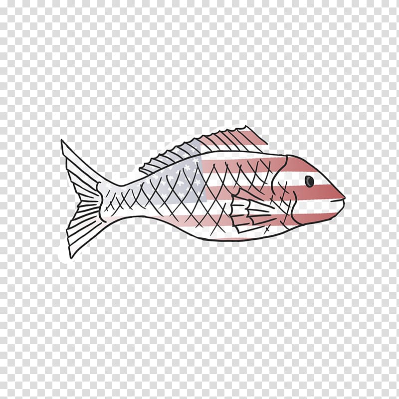 Northern red snapper Line art Marine mammal, design transparent background PNG clipart