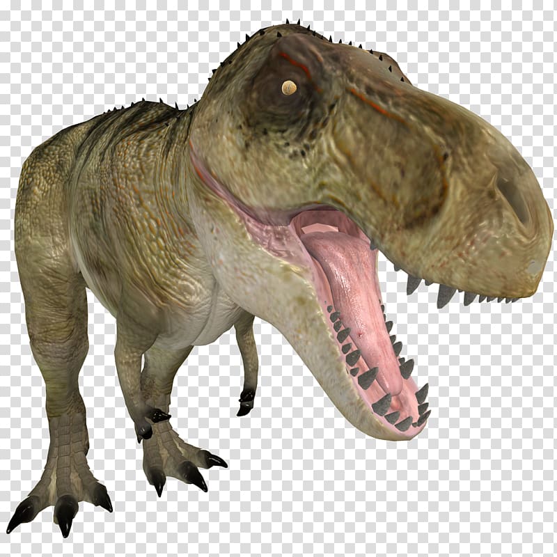 Tyrannosaurus rex Allosaurus 3D computer graphics, others transparent background PNG clipart