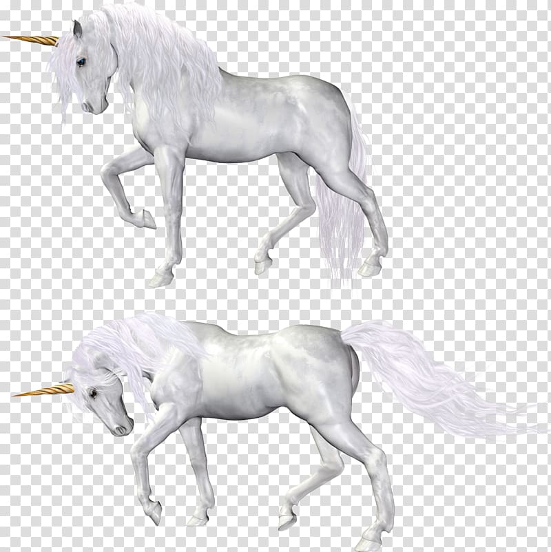 two white unicorns art, Horse Unicorn, Unicorn transparent background PNG clipart