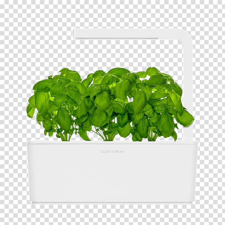 Gardening Click & Grow Herb Growing, herb garden transparent background PNG clipart