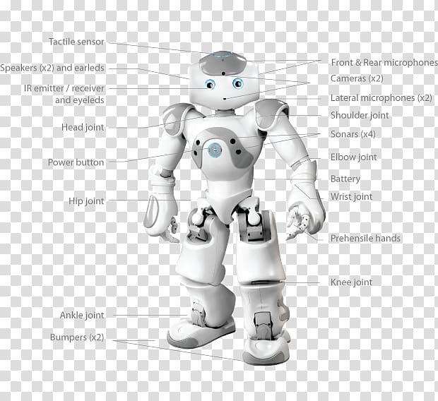 Nao Humanoid robot Robotics Autonomous robot, robot transparent background PNG clipart