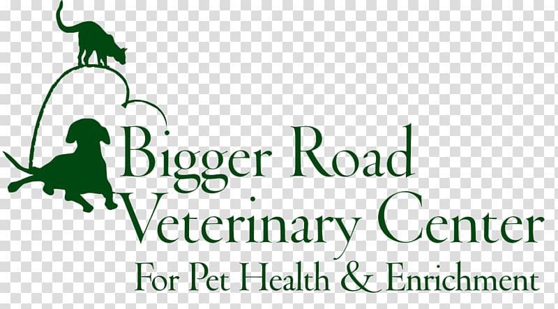 Bigger Road Veterinary Center Dog Veterinarian Bigger Road Veterinary Clinic Pets In Stitches, Dog transparent background PNG clipart