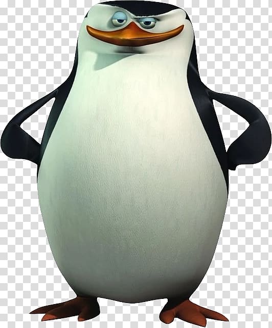 Madagascar penguins transparent background PNG clipart